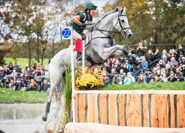 Win season tickets to Badminton 2026 – Raffle in aid of DFIRF